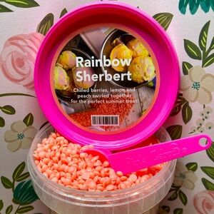 Pink Zebra Sprinkles Wax Melts ✨Rainbow Sherbert✨